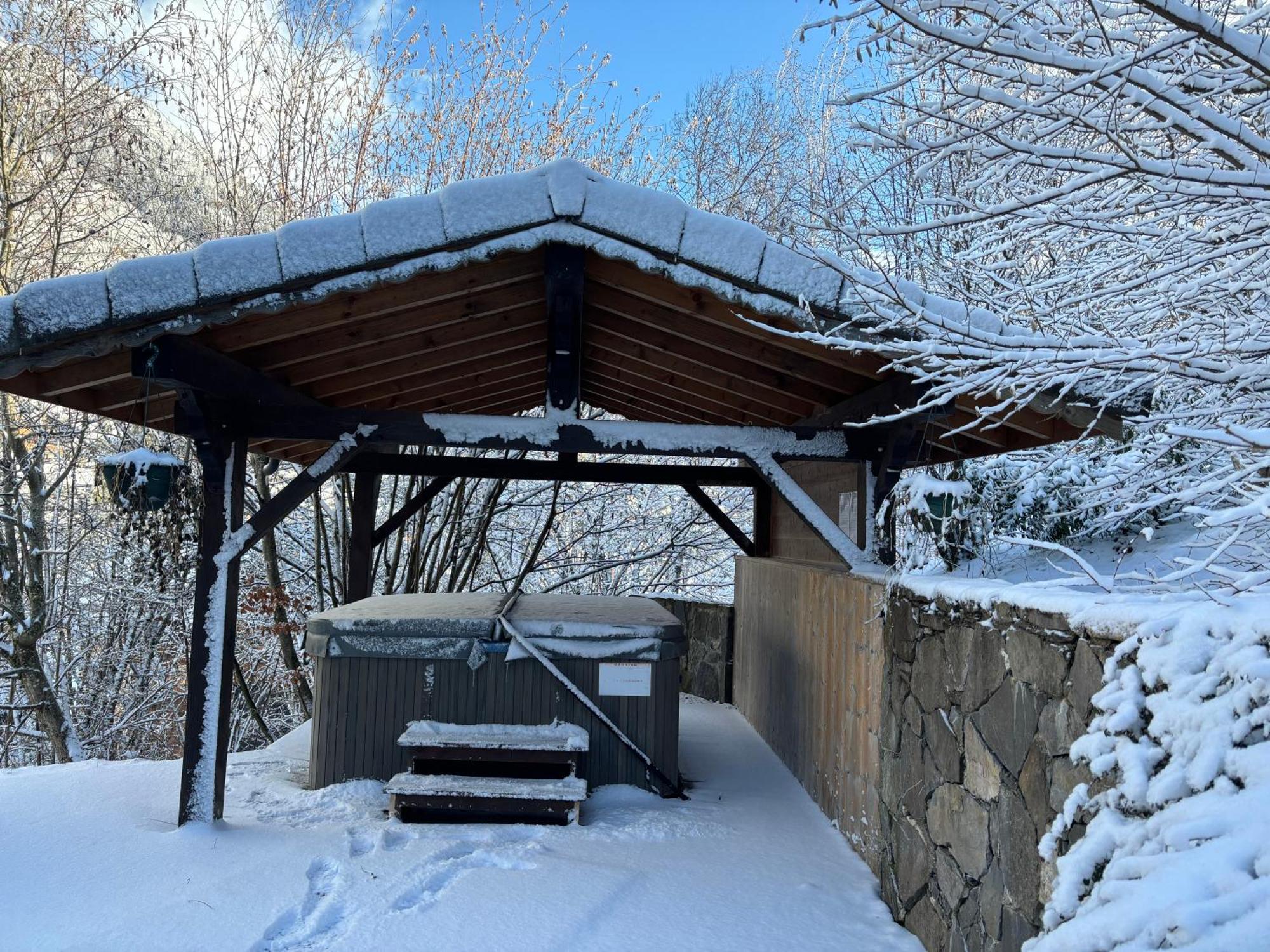 Chalet Adonis - Montriond, Morzine, Avoriaz Экстерьер фото