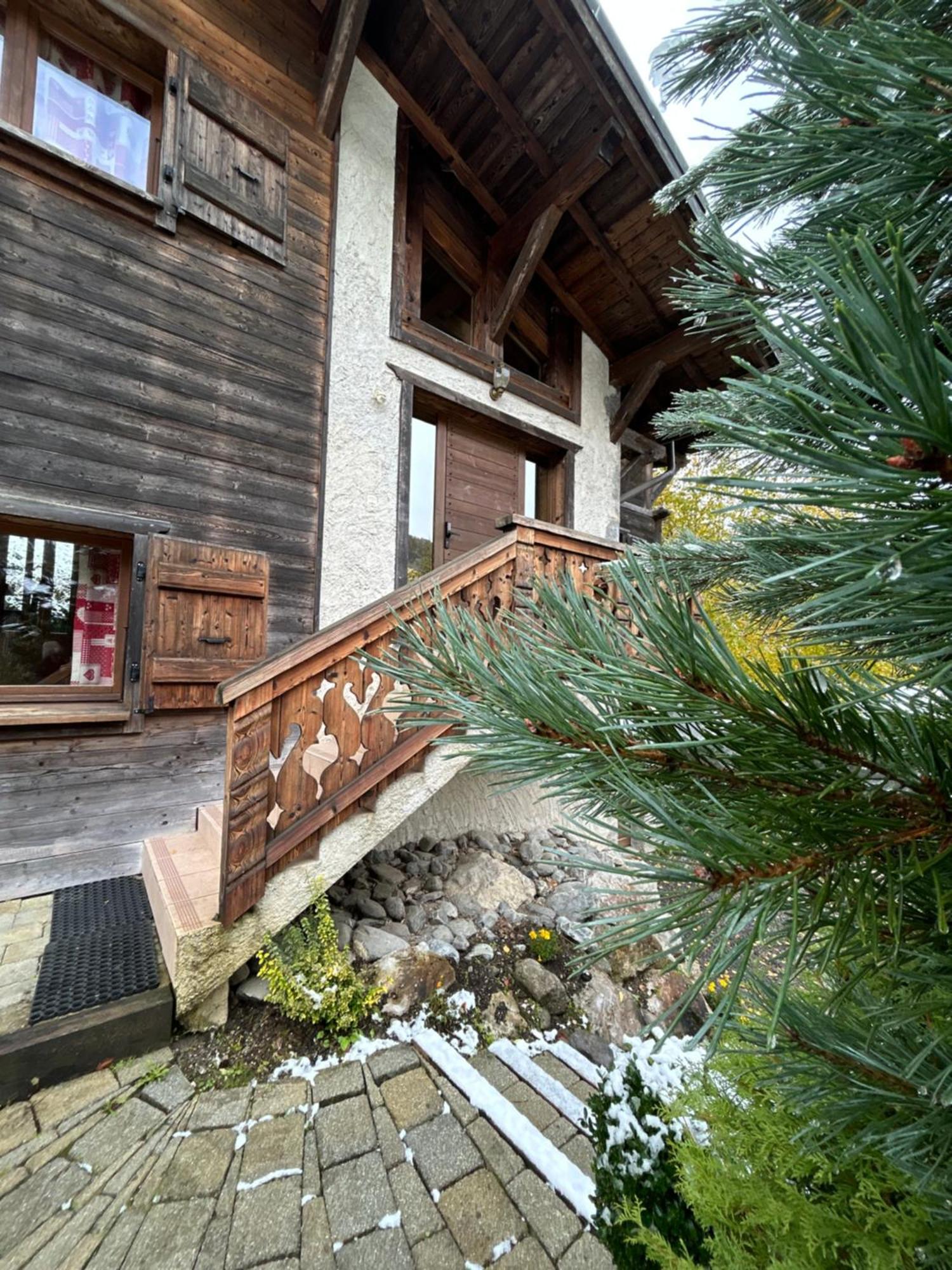 Chalet Adonis - Montriond, Morzine, Avoriaz Экстерьер фото