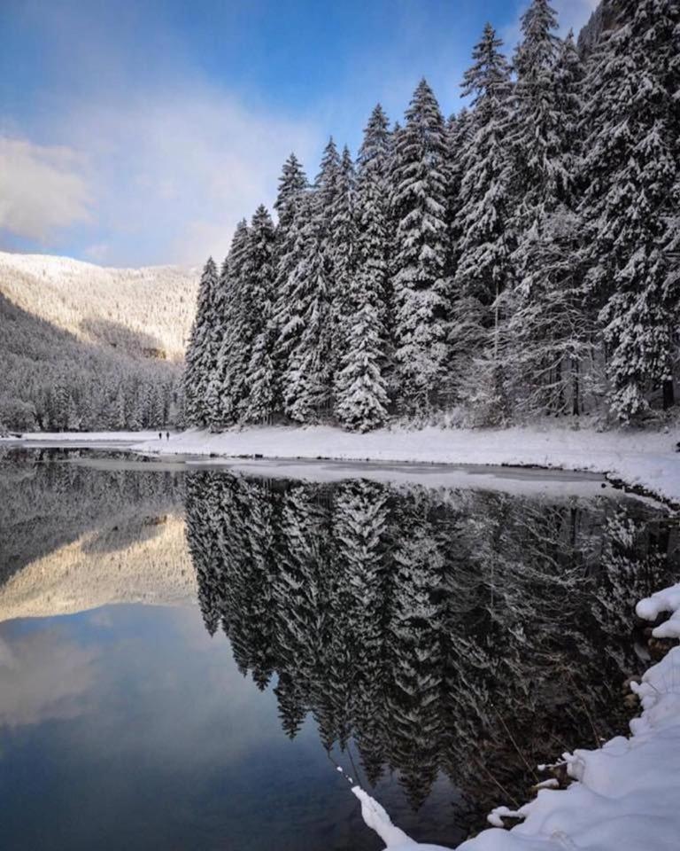 Chalet Adonis - Montriond, Morzine, Avoriaz Экстерьер фото